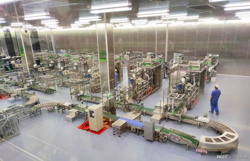 全國綠色食品三產融合發展園落戶大連鹽化集團 探索地產開發新模式